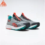 کفش مردانه Reebok Floatride Energy 4 Adventure GX4799