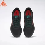 Men's shoes Reebok ZIG DYNAMICA 2 ADVENTURE GZ2181