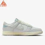 Nike DV7210-001 Dunk Low Retro Women's Shoes