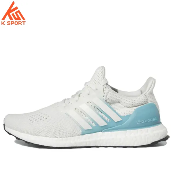 کفش مردانه adidas UltraBoost 1.0 HQ6172