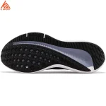 کفش رانینگ مردانه Nike Air Winflow 9 DD6203-008