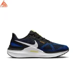 کفش مردانه Nike Air Zoom Structure 25 DJ7883 003