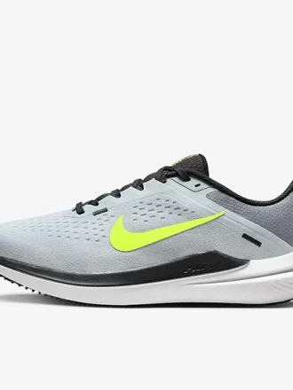 کفش رانینگ مردانه Nike Winflo 10 DV4022 007