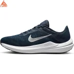 کفش رانینگ مردانه Nike Air Winflo 10 DV4022 400