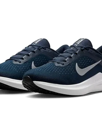 کفش رانینگ مردانه Nike Air Winflo 10 DV4022 400