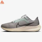 کفش رانینگ مردانه Nike FN7498-012 Premium Pegasus 40 PRM