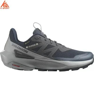 کفش مردانه Salomon GTX L47456100